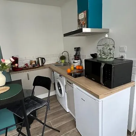 Appartement Centre Avec Parking Privatif Dijon