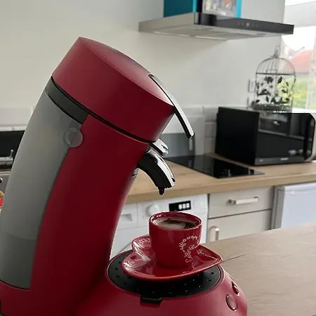 Appartement Centre Avec Parking Privatif Dijon