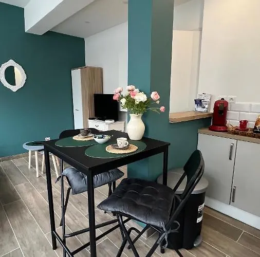 Centre Avec Parking Privatif ديجون