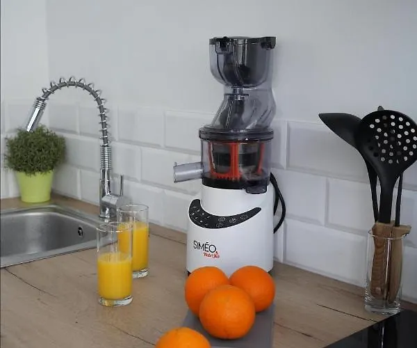 Centre Avec Parking Privatif * Dijon