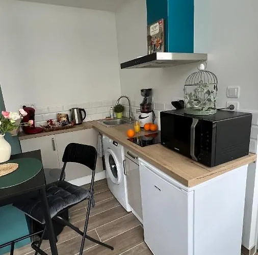 Appartement Centre Avec Parking Privatif Dijon