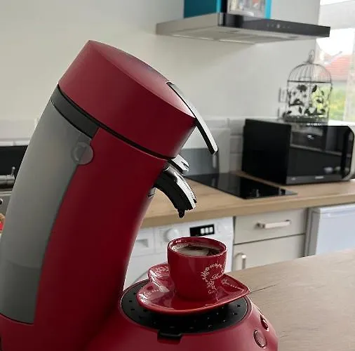 Apartament Centre Avec Parking Privatif Dijon