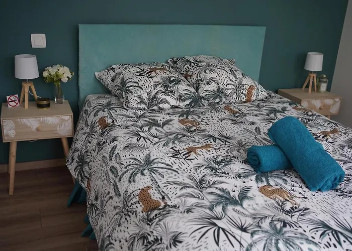 Apartament Centre Avec Parking Privatif